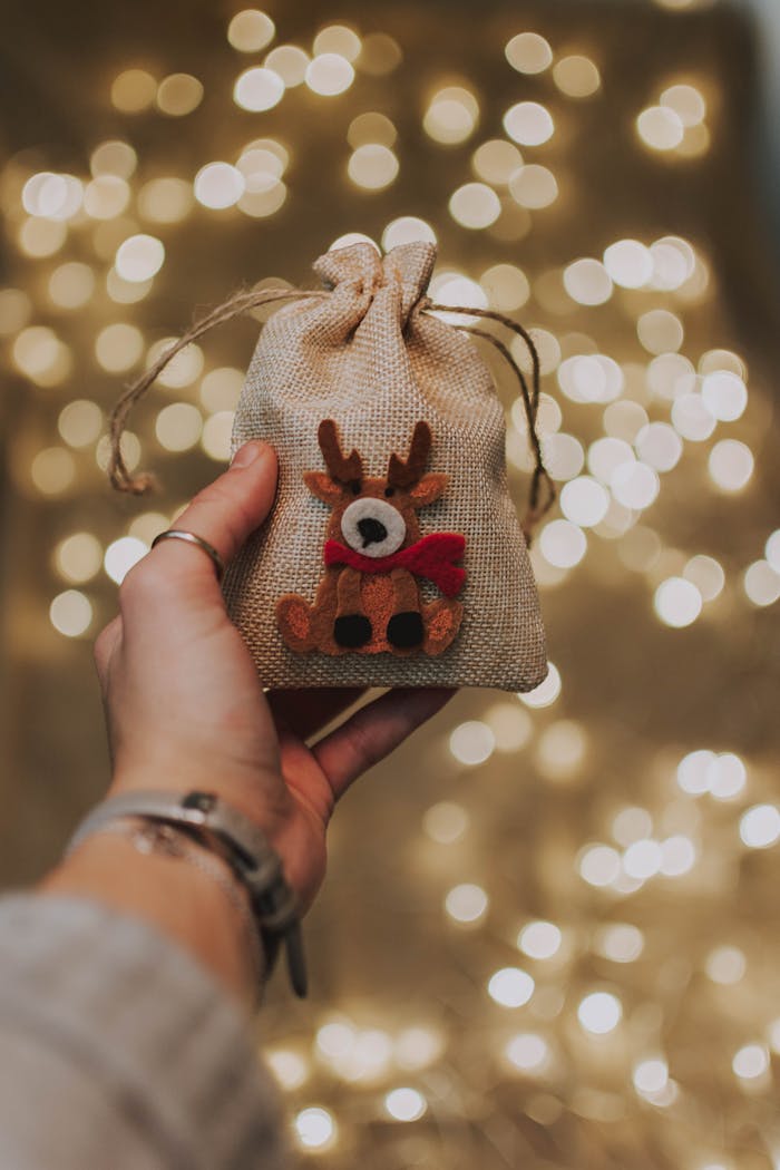 heros-img A cozy festive pouch with reindeer design held by a hand, surrounded by golden bokeh lights.